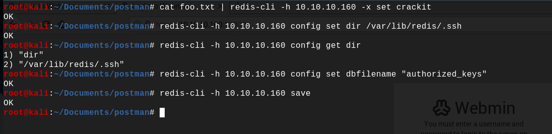 redis cli